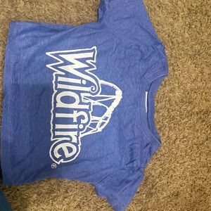 Wildfire roller coaster crop